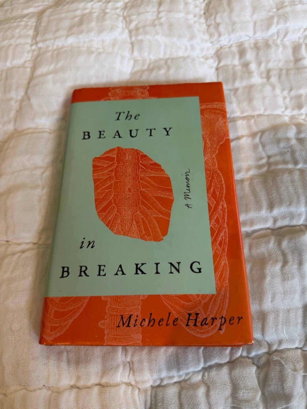 The Beauty in Breaking by Michele Harper